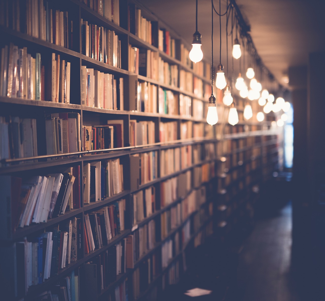Books on shelves