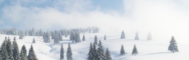 snowy scene with little huts