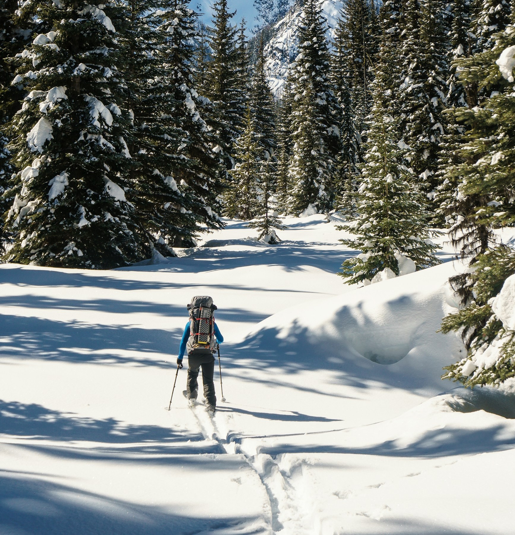 A person cross country skiiing amongst trees